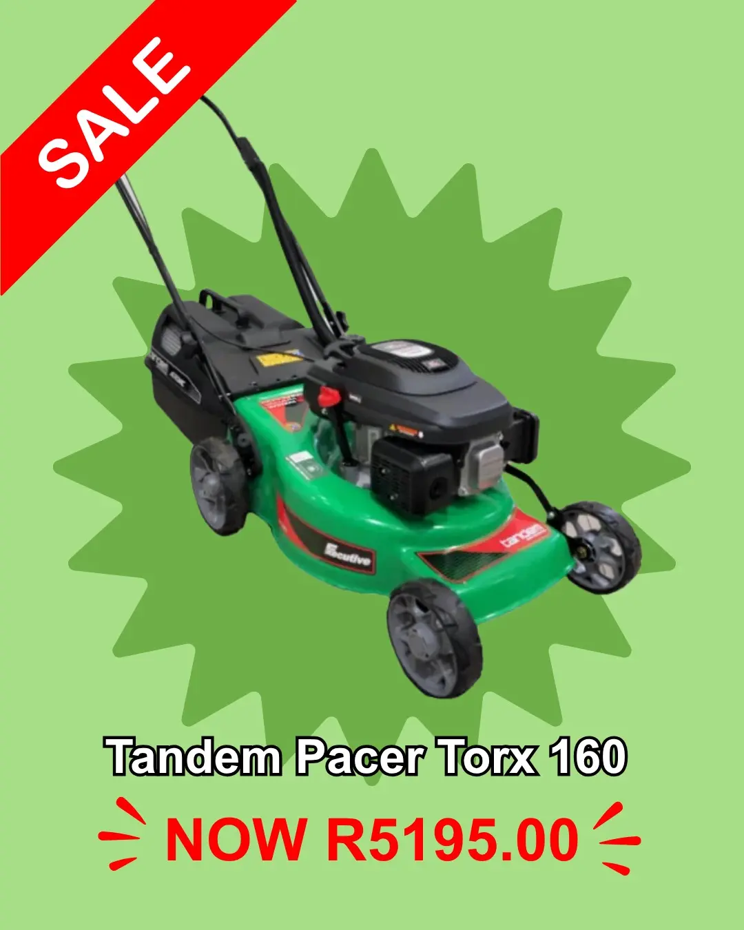 Tandem Pacer Torx 160